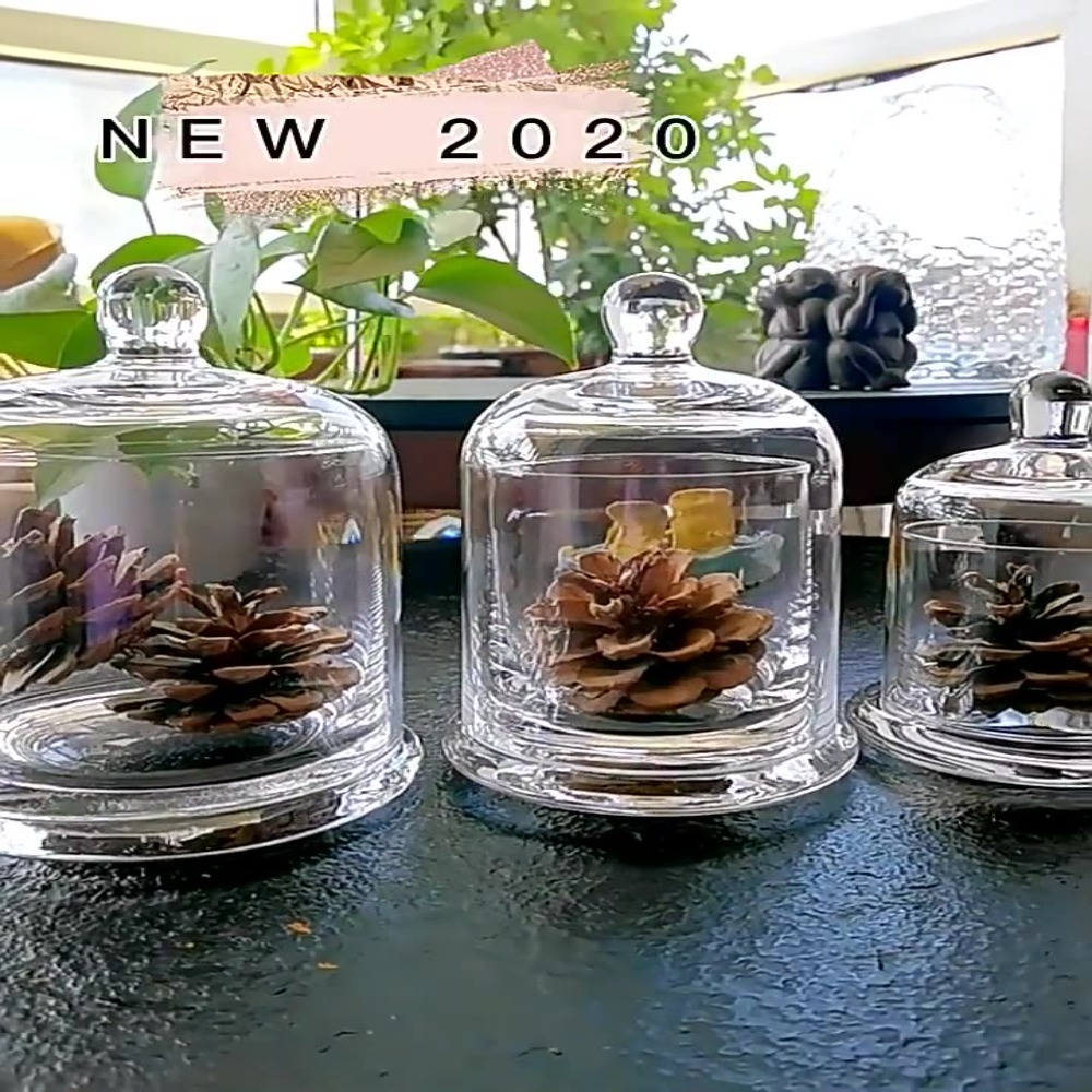 Food Storage In Plants - 유리 보관 용기, 영원한 생명의 꽃,
