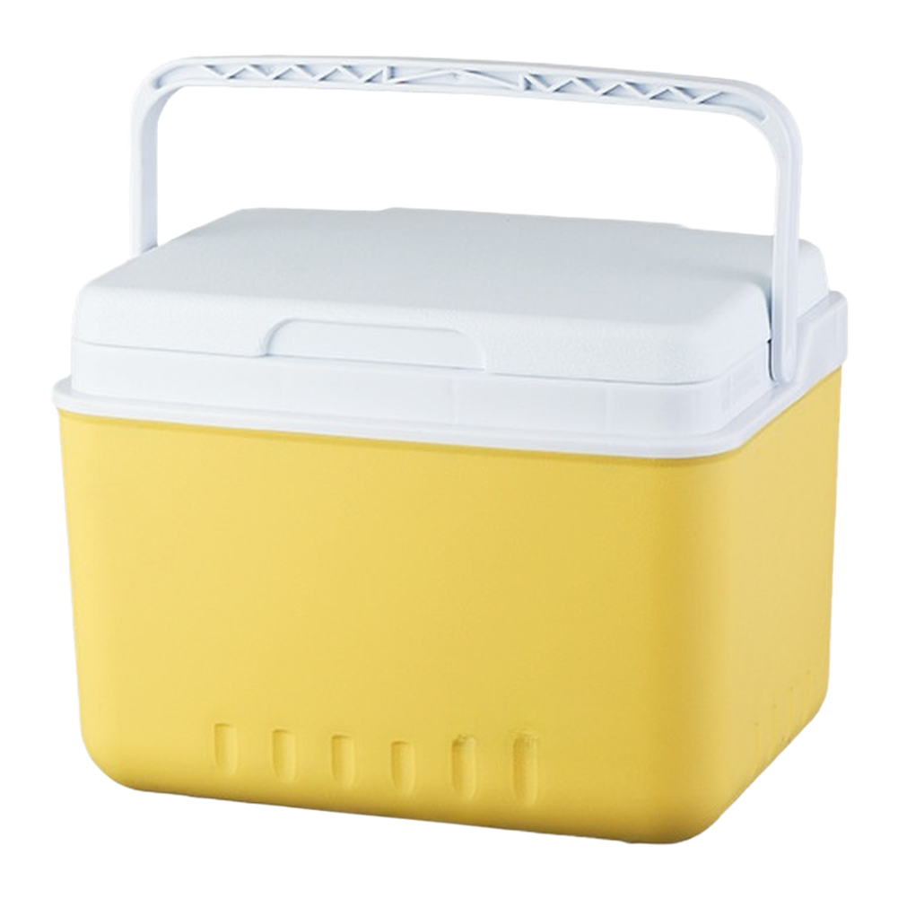 휴대용 6L 15L 아이스팩 포함 보냉박스 (캠핑, 낚 - Food Storage Camping 리뷰 및 가격
