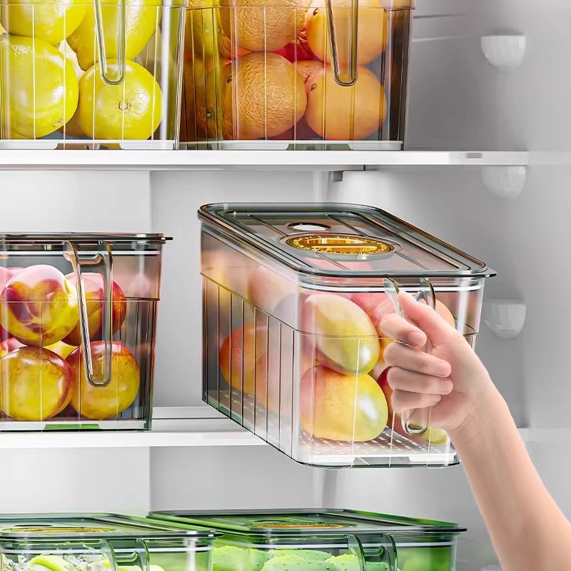 냉장고 정리 보관함, 계란, 과일 및 채소, 식품 등급 - Food Storage Vegetables 리뷰 및 가격