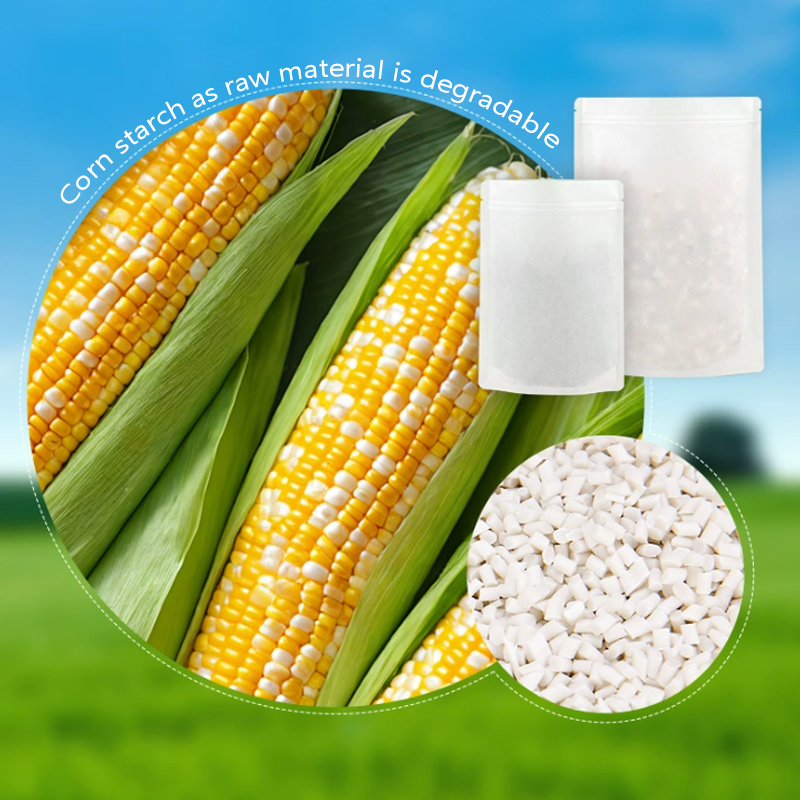 맞춤형 생분해성 크라프트 종이 지퍼백, 차 보관 밀봉  - Food Storage In Plants 리뷰 및 가격