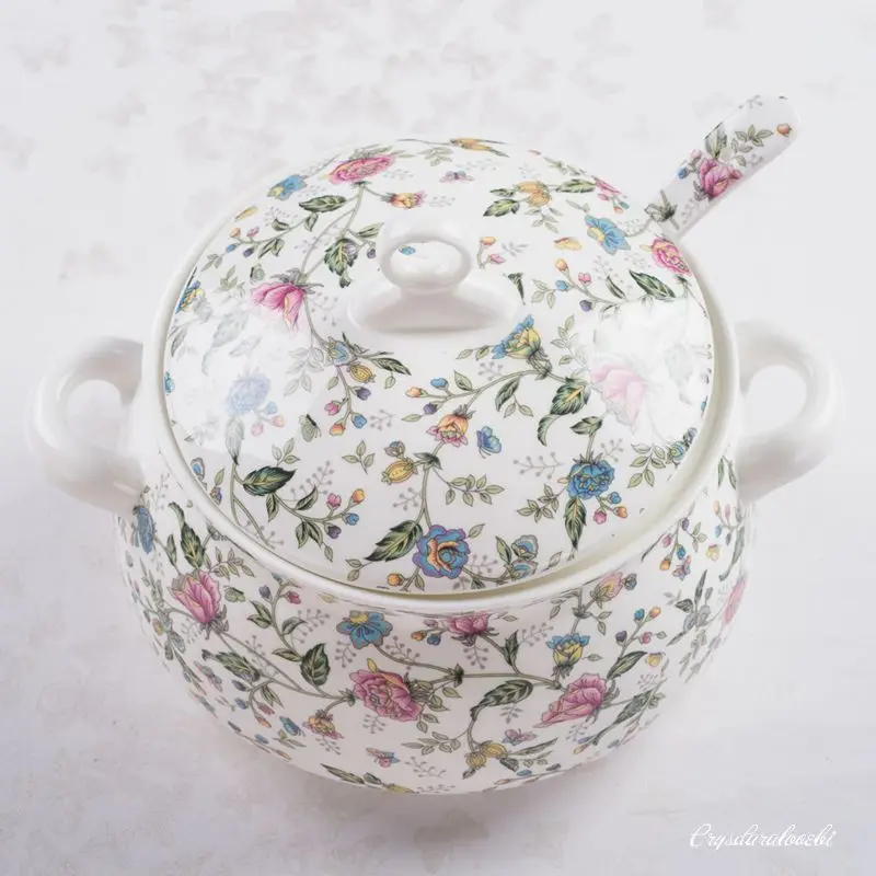 9인치 본차이나 투린, 음식 보관용, 클래식 디너 서빙 - Food Storage In Plants 리뷰 및 가격